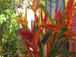 2007 &raquo; 2007-karibik